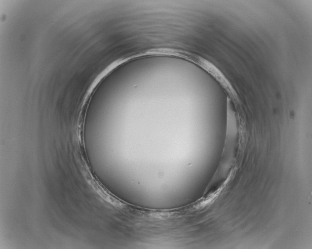 X0000081580908200702051236