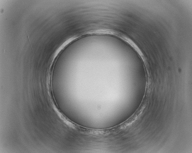 X0000081580909200702051236