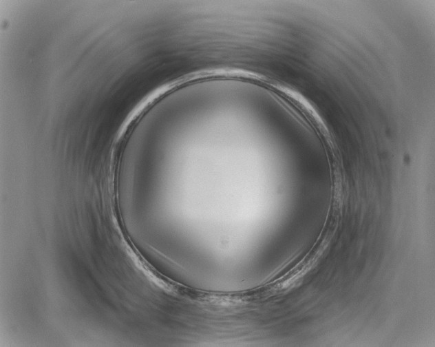 X0000081580910200702051236