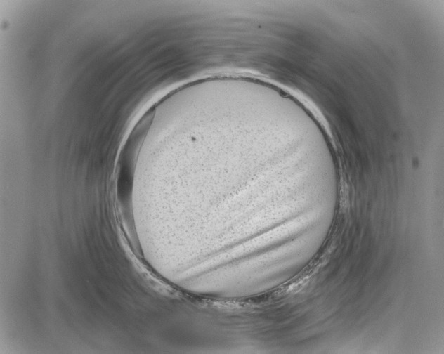 X0000081580911200702051236