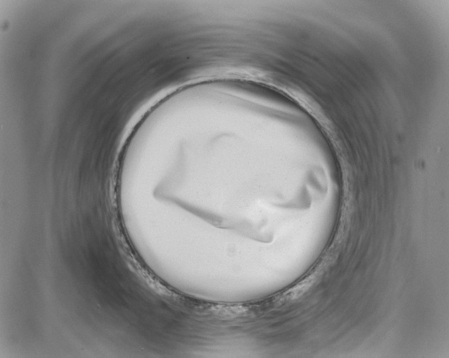 X0000081580912200702051236