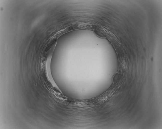 X0000081580914200702051235