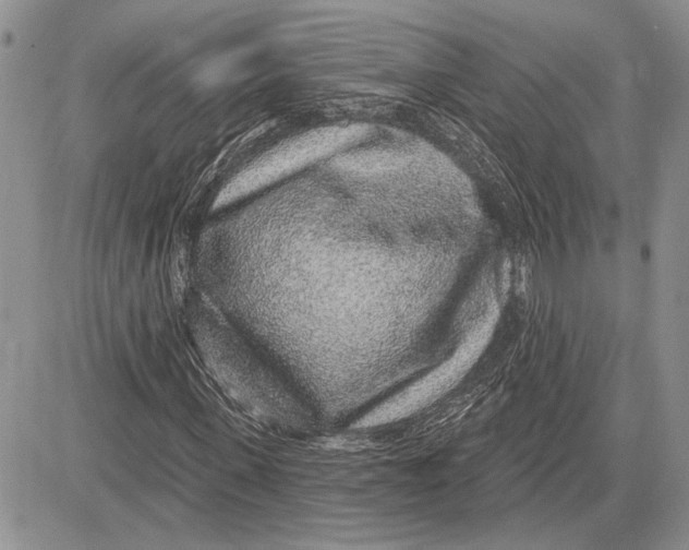 X0000081580915200702051235