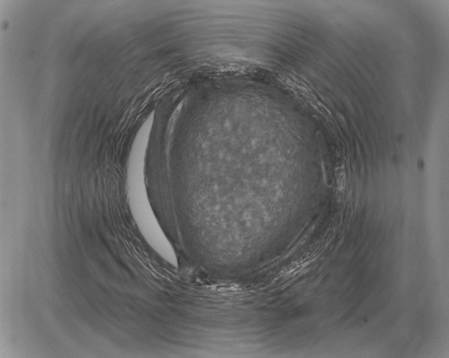 X0000081580916200702051235