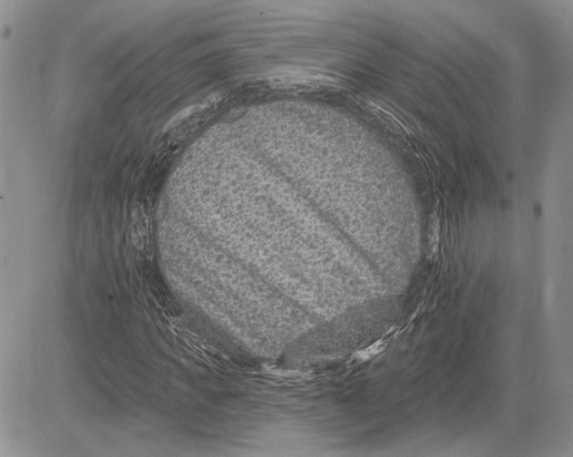 X0000081580917200702051235