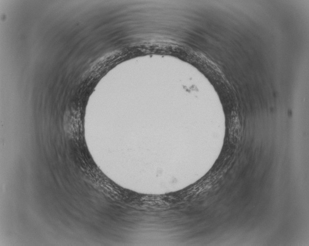 X0000081580918200702051235