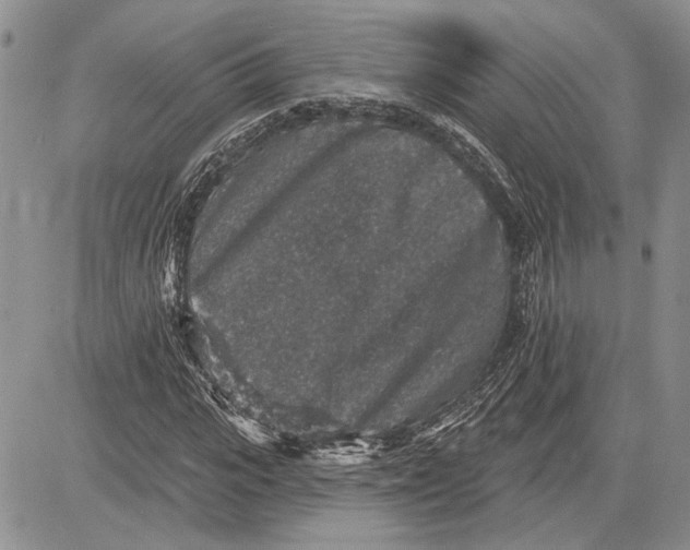 X0000081580919200702051235