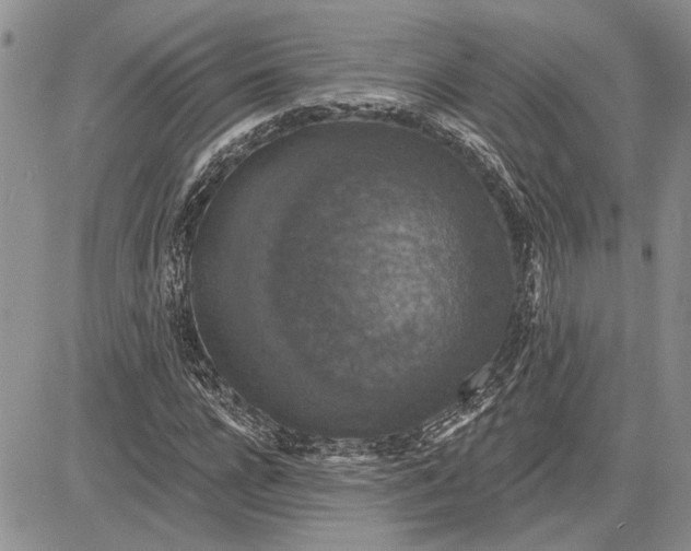 X0000081580920200702051235