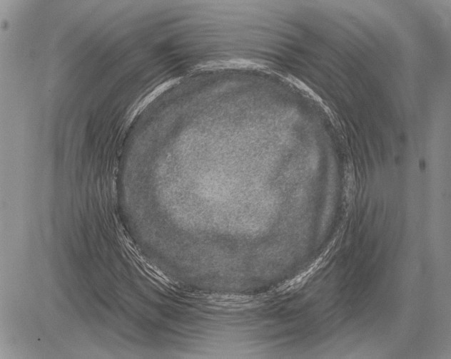 X0000081580921200702051235