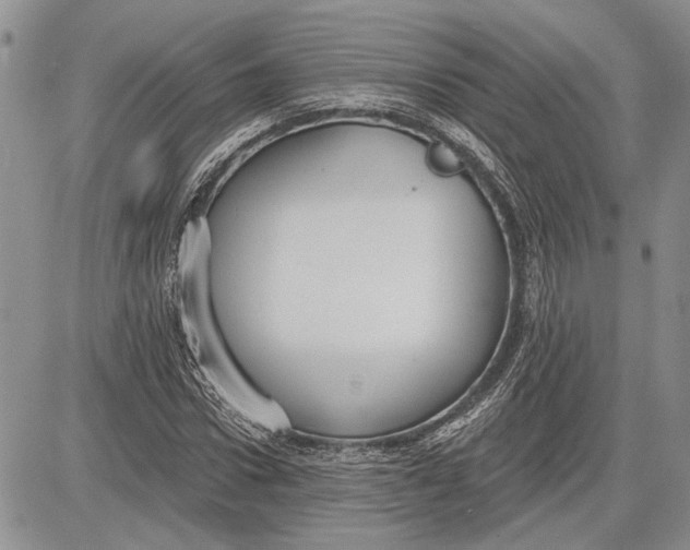 X0000081580922200702051235