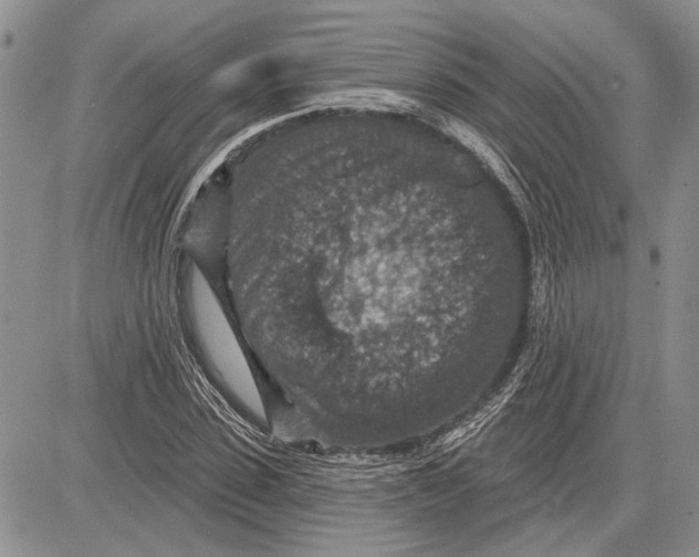 X0000081580923200702051235