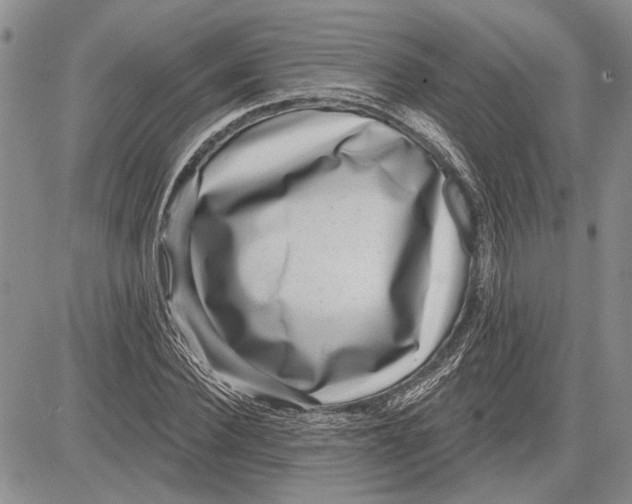 X0000081580924200702051235