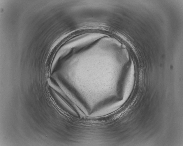 X0000081580925200702051235