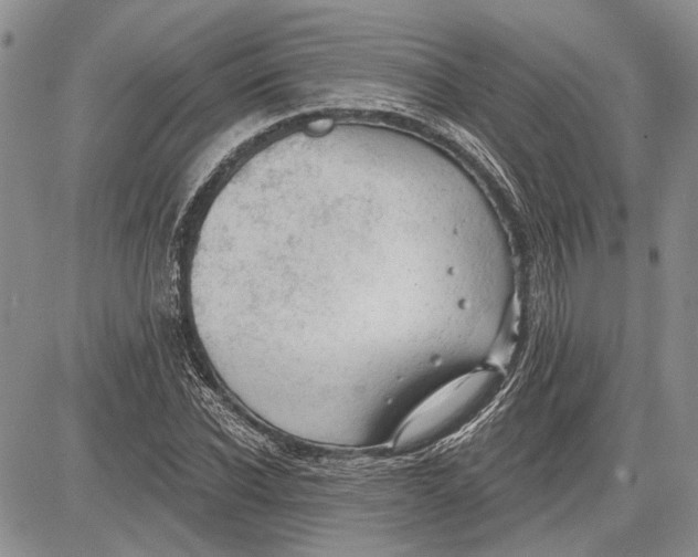 X0000081580926200702051235