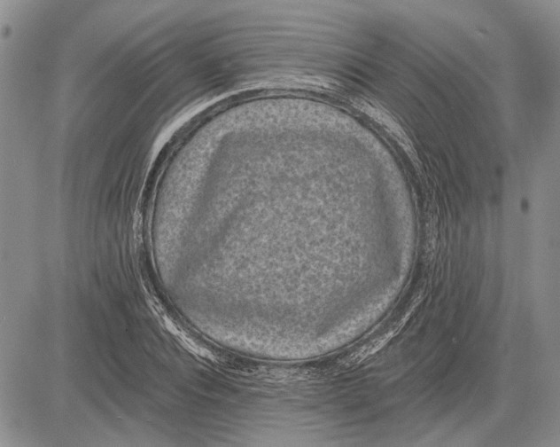 X0000081580928200702051235