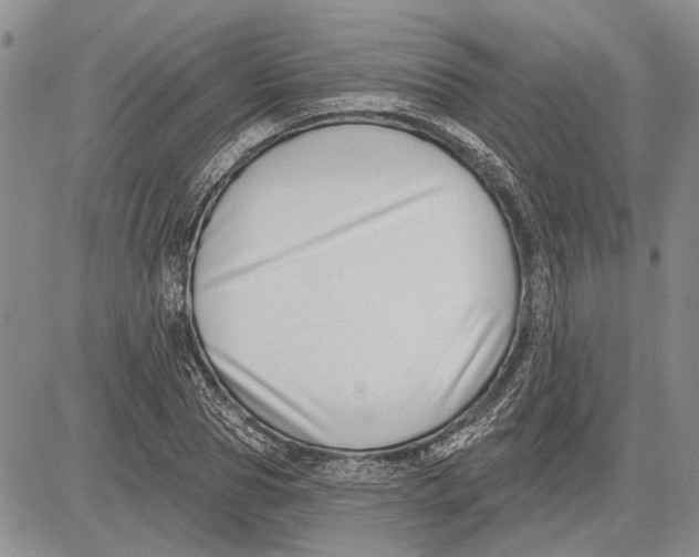 X0000081580929200702051235