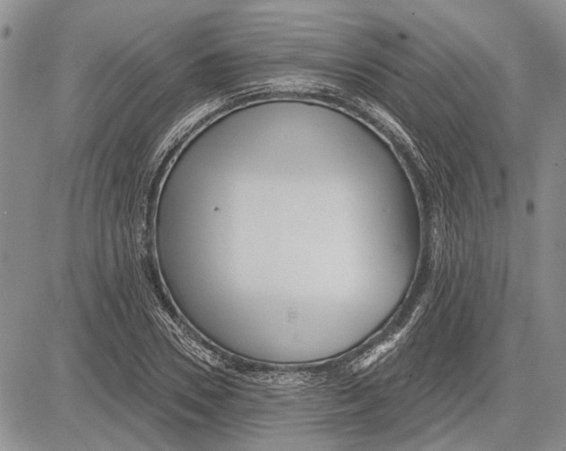 X0000081580930200702051235