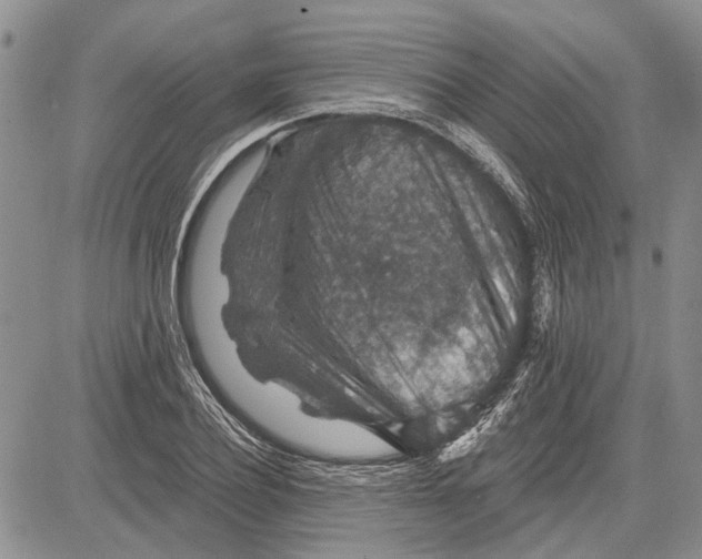 X0000081580932200702051235