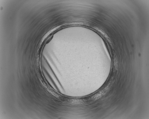 X0000081580933200702051235