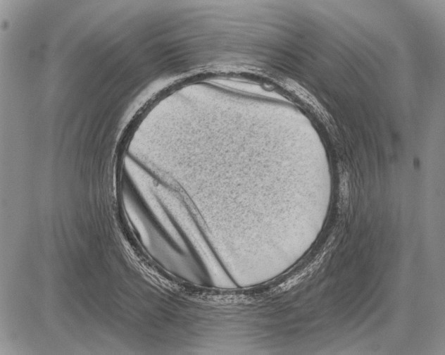 X0000081580934200702051235