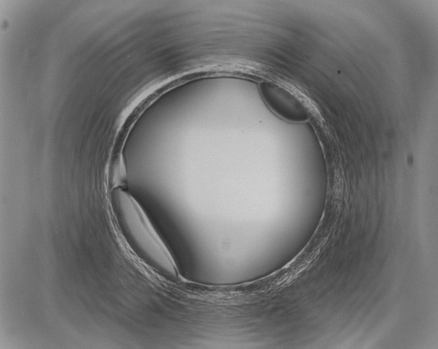 X0000081580936200702051235