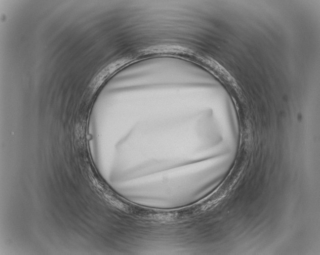 X0000081580937200702051235