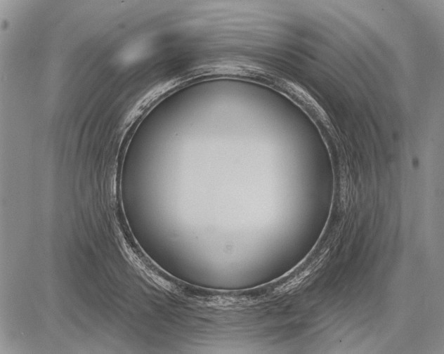 X0000081580938200702051235