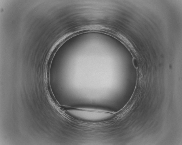 X0000081580939200702051236