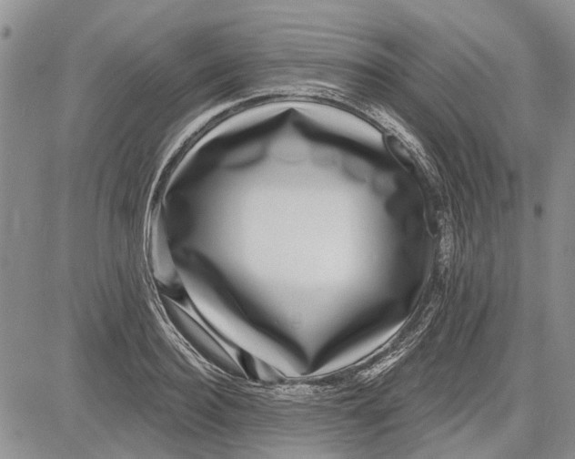 X0000081580940200702051236