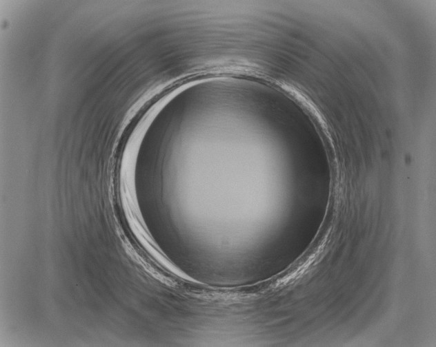 X0000081580941200702051236