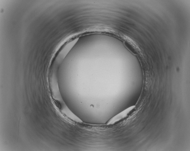 X0000081580942200702051236