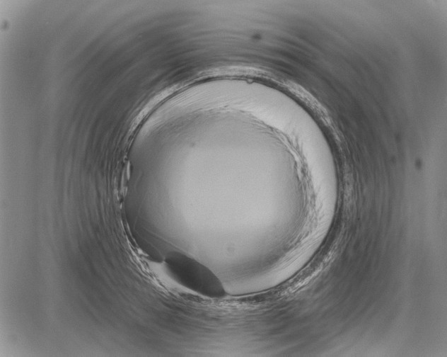 X0000081580945200702051236