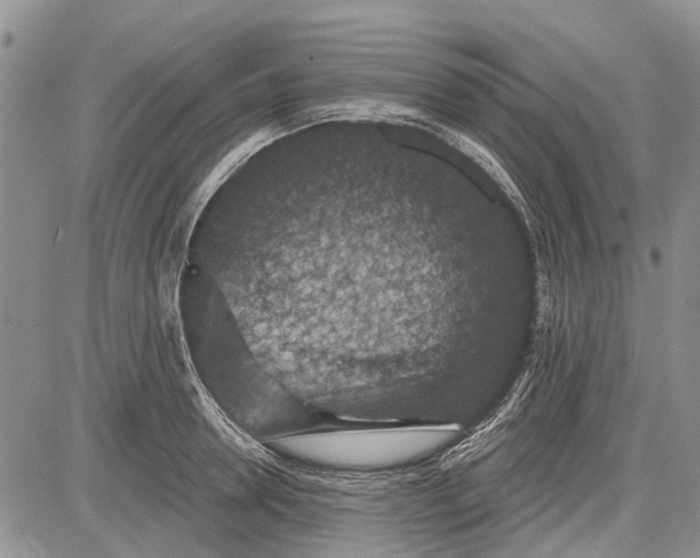 X0000081580946200702051236