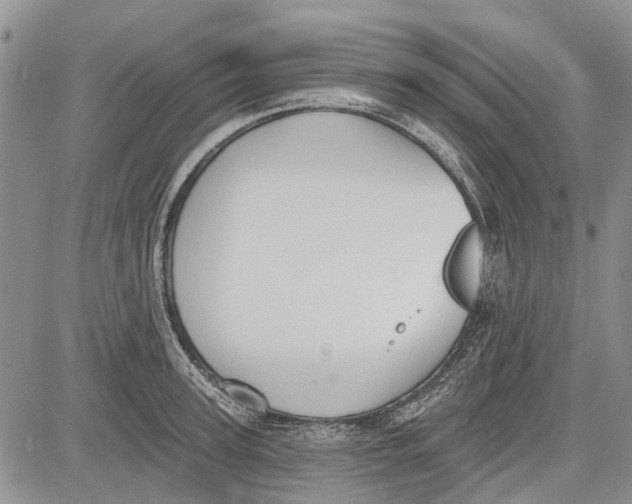 X0000081580947200702051236