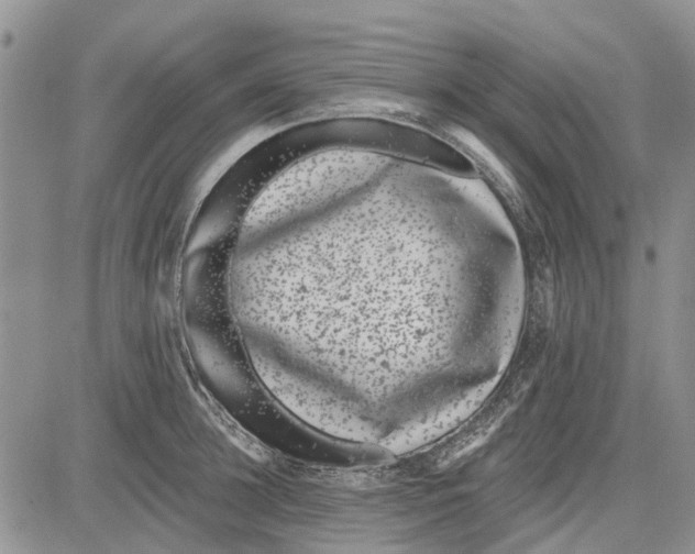 X0000081580948200702051236