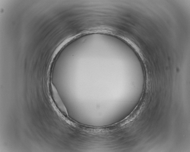 X0000081580949200702051236