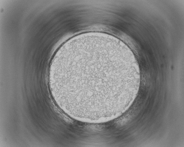 X0000081580950200702051236