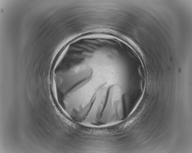 X0000081580951200702051236