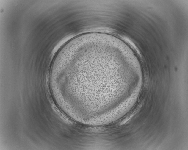 X0000081580952200702051236