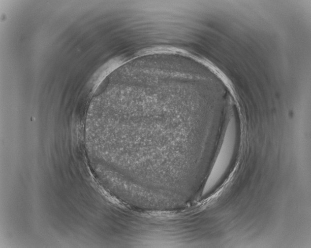 X0000081580953200702051236