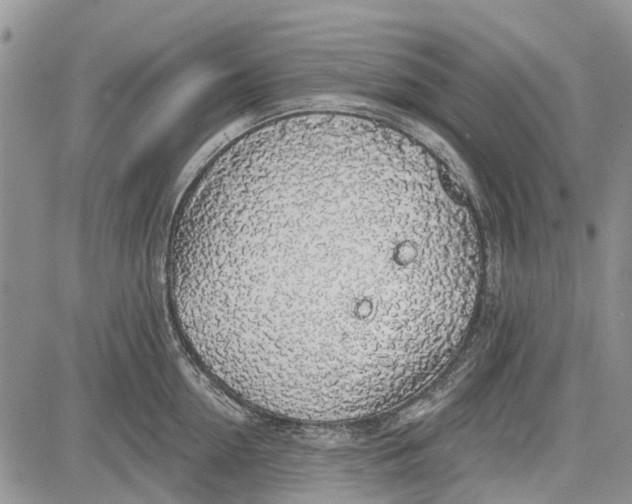 X0000081580954200702051236