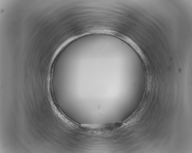 X0000081580955200702051236