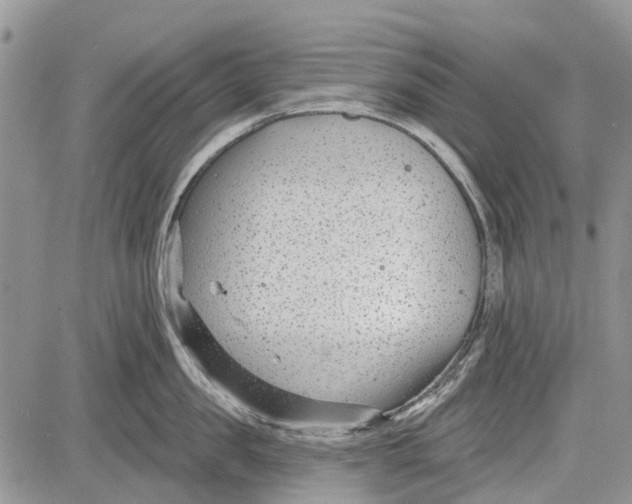 X0000081580957200702051236