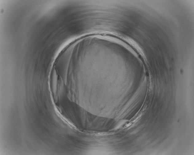 X0000081580958200702051236