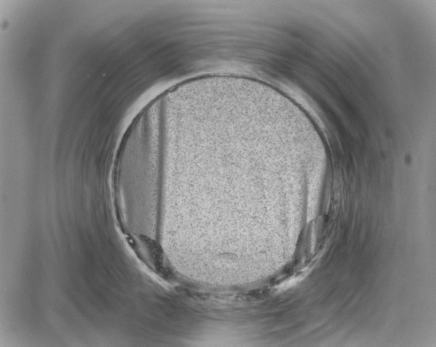 X0000081580959200702051236