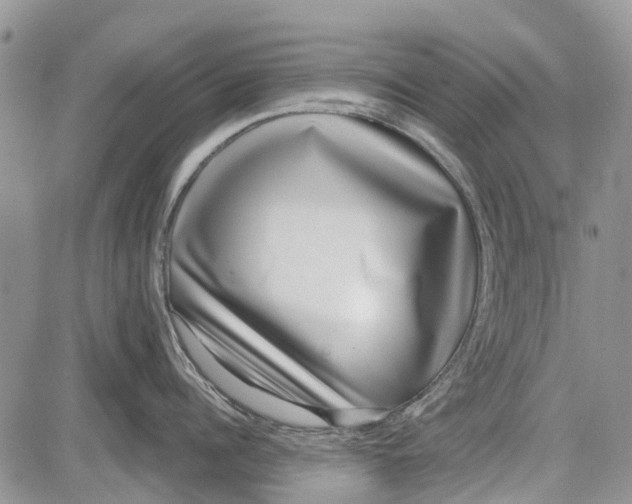 X0000081580960200702051236