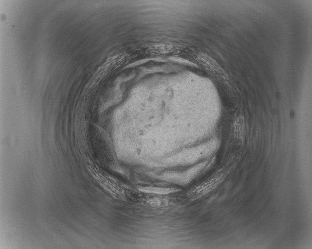 X0000081580961200702051235