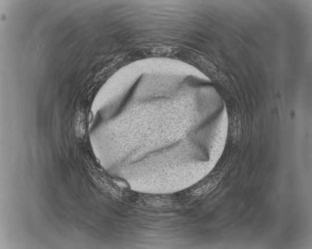 X0000081580962200702051235