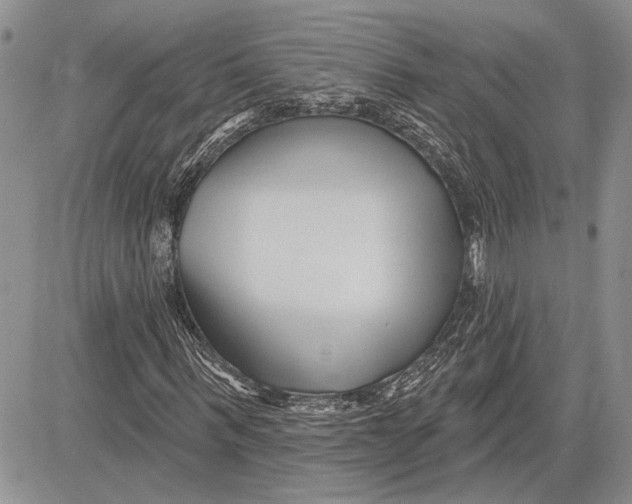 X0000081580963200702051235