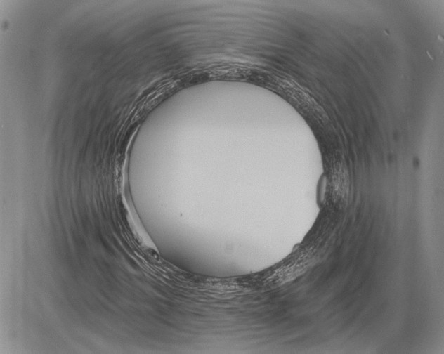 X0000081580964200702051235